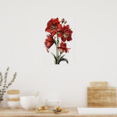 Poster d'impression de l'Art Fleur Rouge Amaryllis (Cuisine)