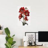 Poster d'impression de l'Art Fleur Rouge Amaryllis (Bureau à domicile)