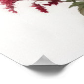 Poster d'impression de l'Art Fleur Rouge Astilbe (Coin)