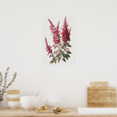 Poster d'impression de l'Art Fleur Rouge Astilbe (Cuisine)