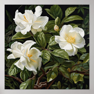 Poster d'impression de l'Art Fleuri Gardenias Blan