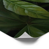 Poster d'impression de l'Art Fleuri Gardenias Blan (Coin)