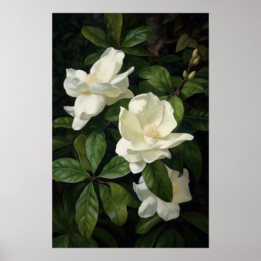 Poster d'impression de l'Art Fleuri Gardenias Blan (Devant)