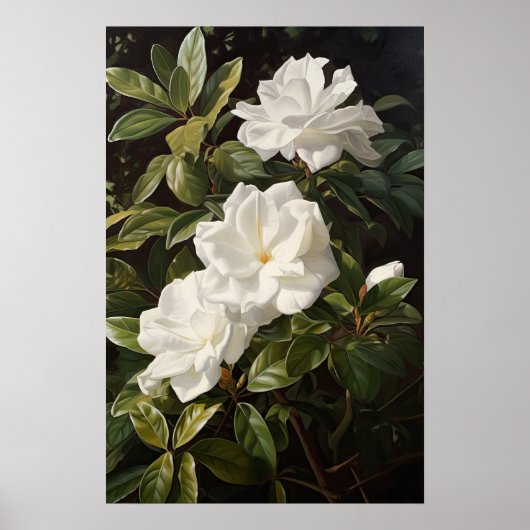 Poster d'impression de l'Art Fleuri Gardenias Blan (Devant)