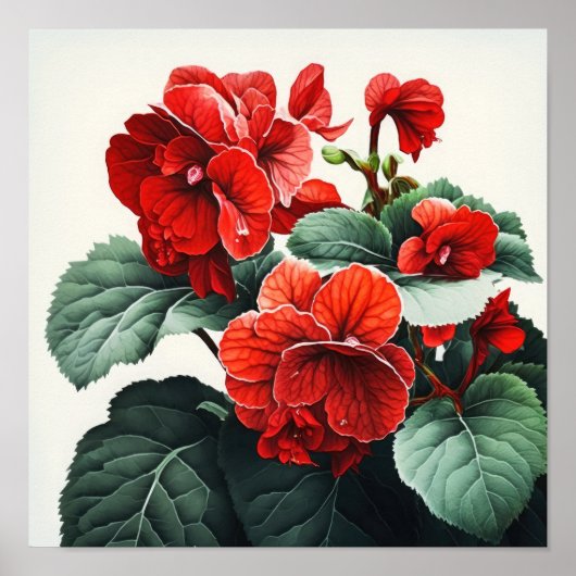 Poster d'impression de l'Art Fleuri Red Begonias (Devant)