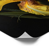 Poster d'impression de l'art Fleurs de Iris Jaunes (Coin)