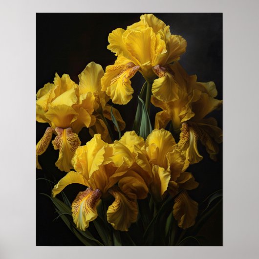Poster d'impression de l'art Fleurs de Iris Jaunes (Devant)