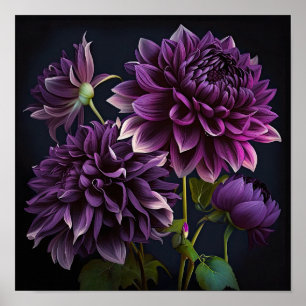 Poster d'impression de l'art floral Dahlias violet