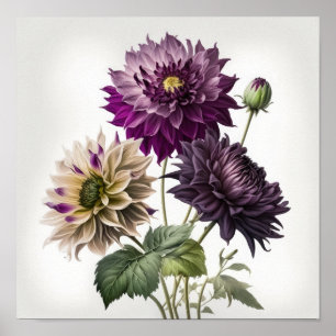Poster d'impression de l'art floral Dahlias violet
