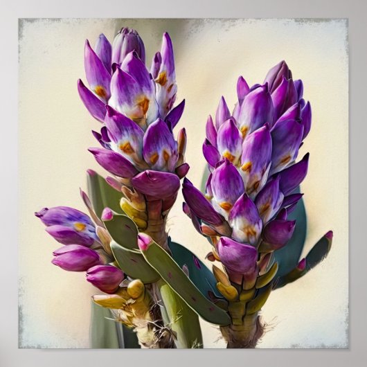 Poster d'impression de l'art floral de Courcuma vi (Devant)