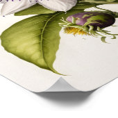 Poster d'impression de l'art floral de la passion (Coin)