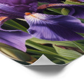 Poster d'impression de l'art floral Irises violet (Coin)