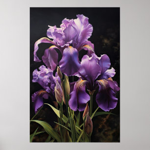Poster d'impression de l'art floral Irises violet