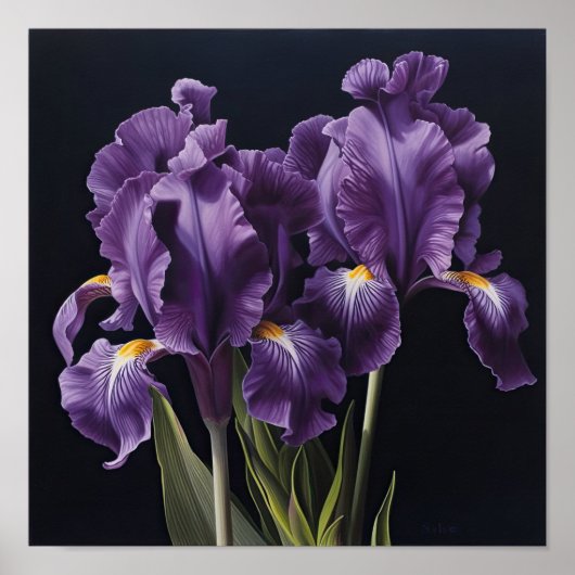 Poster d'impression de l'art floral Irises violet (Devant)