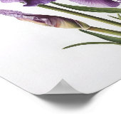 Poster d'impression de l'art floral Irises violet (Coin)