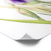 Poster d'impression de l'art floral Irises violet (Coin)