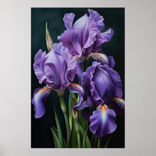 Poster d'impression de l'art floral Irises violet