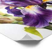 Poster d'impression de l'art floral Irises violet (Coin)