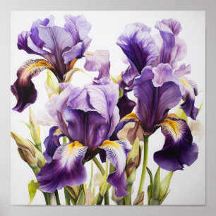 Poster d'impression de l'art floral Irises violet
