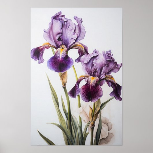 Poster d'impression de l'art floral Irises violet (Devant)
