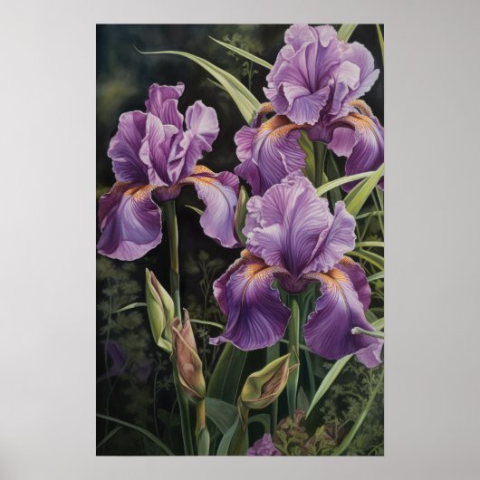 Poster d'impression de l'art floral Irises violet (Devant)