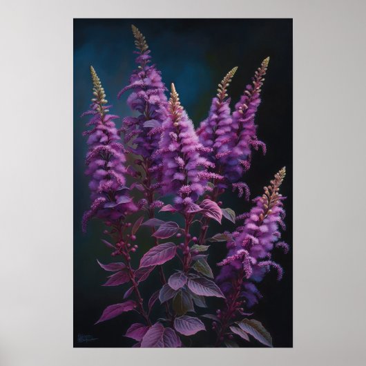 Poster d'impression de l'art floral violet Astilbe (Devant)