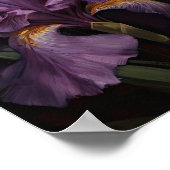 Poster d'impression de l'art Iris violet (Coin)