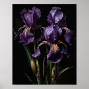Poster d'impression de l'art Iris violet