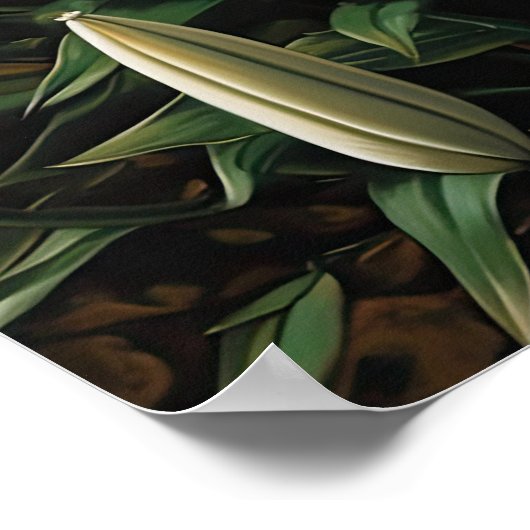 Poster d'impression de l'Art Lily Fleurs blanches (Coin)