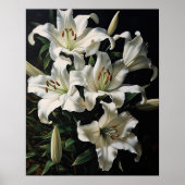 Poster d'impression de l'Art Lily Fleurs blanches (Devant)