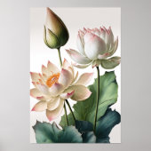 Poster d'impression de l'art Lotus Blanc (Devant)