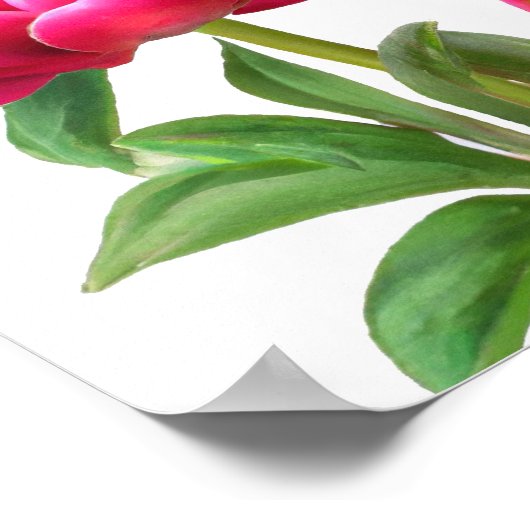 Poster d'impression de l'art Red Peony Flowers (Coin)