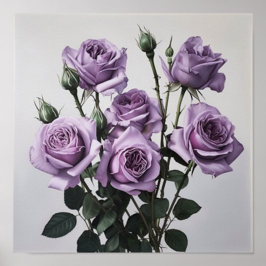 Poster d'impression de lavande Rose (Devant)