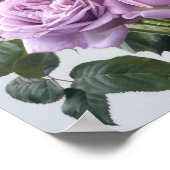 Poster d'impression de lavande Rose (Coin)