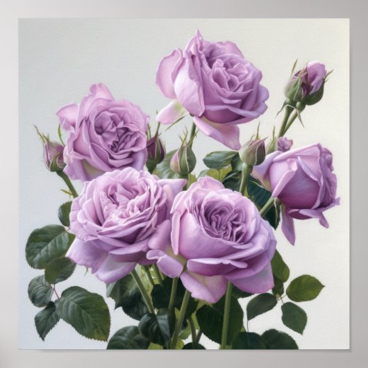 Poster d'impression de lavande Rose (Devant)