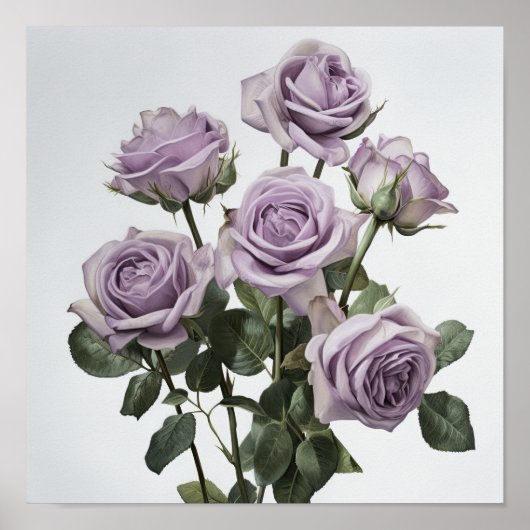 Poster d'impression de lavande Rose (Devant)