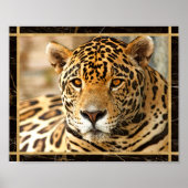 Poster d'impression de l'image Jaguar (Devant)