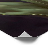 Poster d'impression de papier Tulipes violettes (Coin)