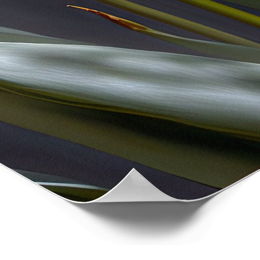 Poster d'impression de papier Tulipes violettes (Coin)