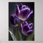 Poster d'impression de papier Tulipes violettes (Devant)
