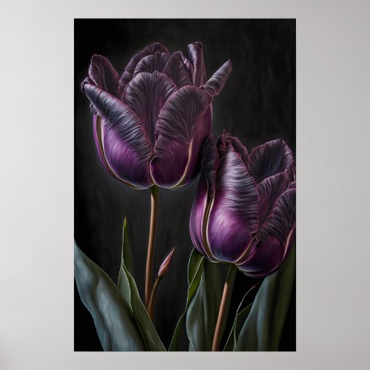 Poster d'impression de papier Tulipes violettes (Devant)
