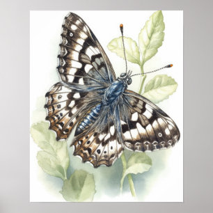 Poster d'impression de papillons À damiers communs