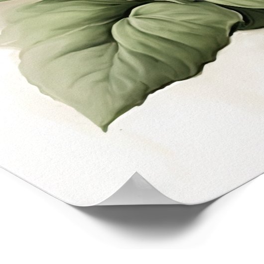 Poster d'impression de pétunias blanc (Coin)