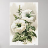 Poster d'impression de pétunias blanc (Devant)