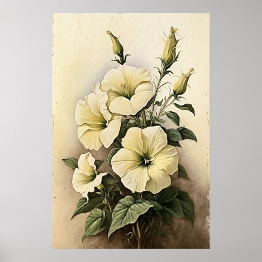 Poster d'impression de pétunias blanc (Devant)