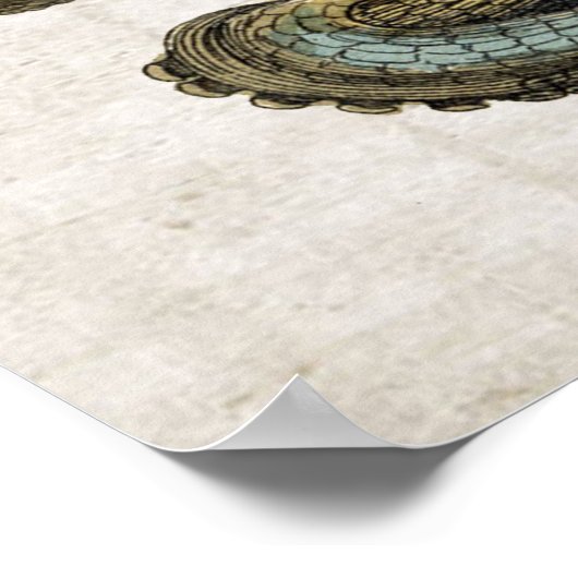 Poster d'impression de poulpe vintage (Coin)