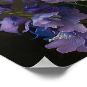 Poster d'impression de violet Delphinium (Coin)