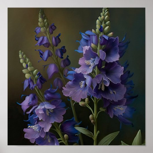 Poster d'impression de violet Delphinium (Devant)