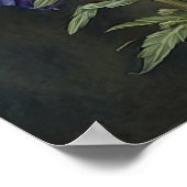 Poster d'impression de violet Delphinium (Coin)