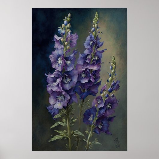 Poster d'impression de violet Delphinium (Devant)